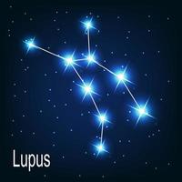 l'étoile de la constellation du lupus dans le ciel nocturne. vecteur