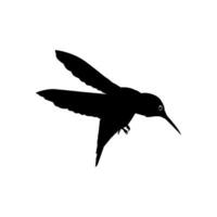 en volant colibri silhouette, pouvez utilisation art illustration, site Internet, logo gramme, pictogramme ou graphique conception élément. vecteur illustration