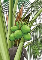 vert noix de coco fruit arbre vecteur avec blanc Contexte.