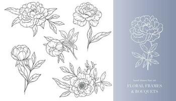 pivoine fleur ligne art. floral cadres et bouquets ligne art. bien ligne pivoine cadres main tiré illustration. main dessiner contour feuilles et fleurs. botanique coloration page. contour pivoine isolé vecteur