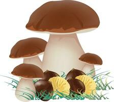 cèpes champignon famille avec châtaignes l'automne saison- vecteur