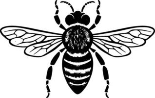 abeille, noir et blanc vecteur illustration