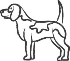 beagle main tiré vecteur illustration