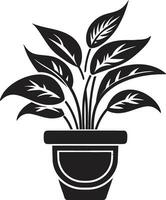 noble jardinage majesté noir vecteur emblème Naturel sérénité monochrome plante pot symbole
