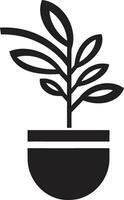 noble plante majesté noir logo art mis en pot beauté excellence emblématique icône vecteur