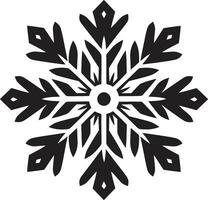 symbole de hivers excellence neige vecteur icône gel dans monochrome emblématique neige art