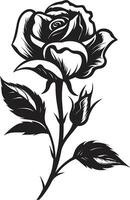 icône de épanouissement fleurs monochromatique logo art élégance dans pétales beauté monochrome Rose symbole vecteur