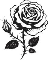 symbole de pétale majesté emblématique art noble Gardien de épanouissement des roses monochrome emblème vecteur