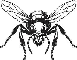 insecte majesté dans noir frelon symbole iconique frelon dans monochrome vecteur mascotte emblème
