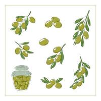 vert olive branches vecteur illustration, Olives en conserve dans une pot. isolé vecteur illustration sur une blanc Contexte.