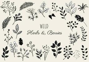 sauvage herbes et baies, floral éléments ensemble. monochrome botanique illustration. main tiré isolé les plantes. vecteur