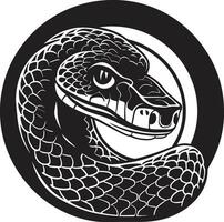 pythons Créatif boîte à outils vecteur illustration essentiel le art de code python vecteur illustration techniques