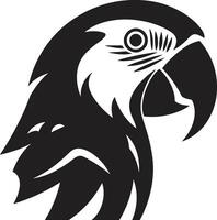 aviaire talent artistique perroquet vecteur illustration techniques perroquet vecteurs apportant le tropiques à votre dessins