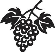du vin pays merveilles grain de raisin vecteur des illustrations les raisins dans graphique art vecteur inspirations