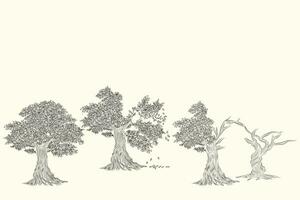 rétro style la nature illustration avec détails. olive arbre tronc. vecteur