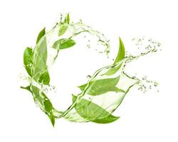 vert thé feuilles avec couler éclaboussure et gouttes vecteur