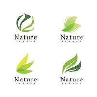 modèle de conception de vecteur de logo nature. icône de feuille
