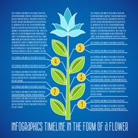 Chronologie infographique. Modèle de conception de vecteur. vecteur