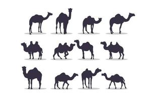 conception d'illustration vectorielle silhouette chameau vecteur