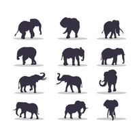 conception d'illustration vectorielle silhouette éléphant vecteur