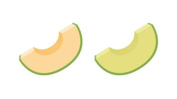 vecteur de melon. melon sur fond blanc. fond d'écran. création de logos.