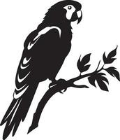 perroquet vecteur silhouette illustration noir Couleur