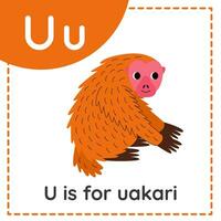 apprentissage Anglais alphabet pour enfants. lettre tu. mignonne dessin animé ouakari. vecteur
