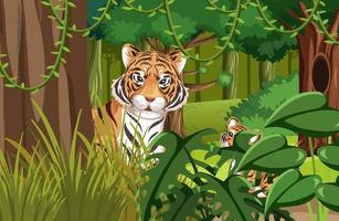 tigre caché dans la jungle vecteur