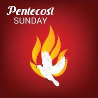 dimanche de pentecôte saint esprit colombe. vecteur