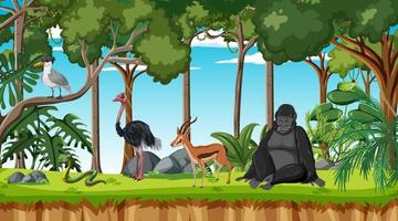 scène de forêt avec différents animaux sauvages vecteur