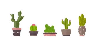 la maison plante des cactus en pots et avec des fleurs. icônes de cactus vecteur