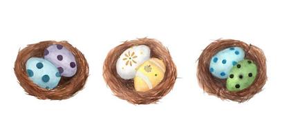 ensemble d'oeufs de pâques dans le nid. illustration à l'aquarelle. vecteur