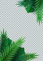 Bonjour été, heure d'été. Contexte de tropical les plantes. paume feuilles, jungle feuille. le affiche pour vente et un publicité signe. vecteur