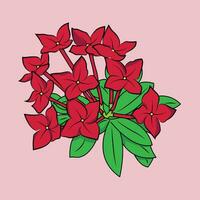 le illustration de Asoka fleur vecteur