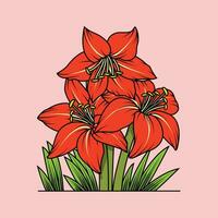 le illustration de amaryllis fleur vecteur