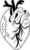 cœur icône isolé sur blanc Contexte. vecteur médical cœur logo. ligne art. tatouage emo gothique. vecteur illustration