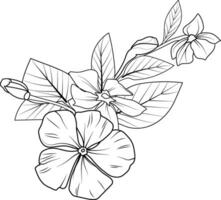 pervenche fleur ligne dessin, triste bahar Facile pervenche fleur dessin, Madagascar pervenche ligne art, crayon esquisser sadabahar fleur dessin, catharanthus roseus sadabahar fleur dessin vecteur