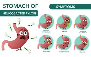 symptômes helicobacter pylori infographie avec dessin animé estomac personnages vecteur