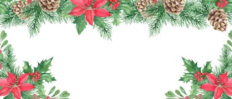 horizontal aquarelle Noël frontière, Cadre. main tiré illustration. pin cône et branches, houx plante avec rouge baies. poinsettia avec airelle rouge, airelle. vecteur