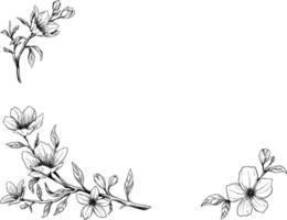 manuka fleur frontière esquisser illustration vecteur