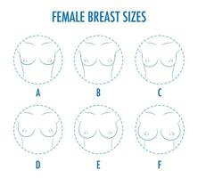 ensemble d'icônes rondes de contour de différentes tailles de seins féminins, corps vecteur