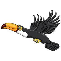 dessin animé toucan en volant sur blanc Contexte vecteur