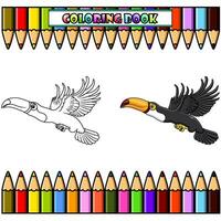 dessin animé toucan en volant pour coloration livre vecteur