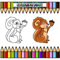 dessin animé écureuil en portant une écrou pour coloration livre vecteur