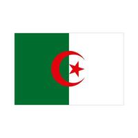 Algérie drapeau. algérien drapeau. vecteur. vecteur