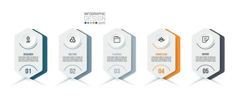 modèle d'infographie d'entreprise avec conception d'étape ou d'option. vecteur