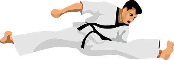 coup de pied de papillon d'illustration vectorielle de taekwondo vecteur