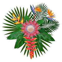 composition de bouquet tropical avec protea vecteur