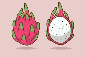 vecteur dragon fruit dessin illustration conception
