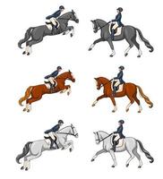 équitation, femme, équitation, cheval dressage, dans, dessin animé, style vecteur